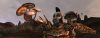 the-elder-scrolls-iii-morrowind_original_2