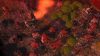 The Settlers 2 The 10th Anniversary PC GOG játék