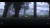 nocturnal_original_3