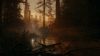 Alan Wake 2 XBOX játék