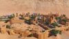 planet-zoo-arid-animal-pack_original_3