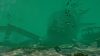 shark-attack-deathmatch-2_original_1