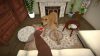 house-flipper-pets_original_0