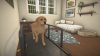 house-flipper-pets_original_3