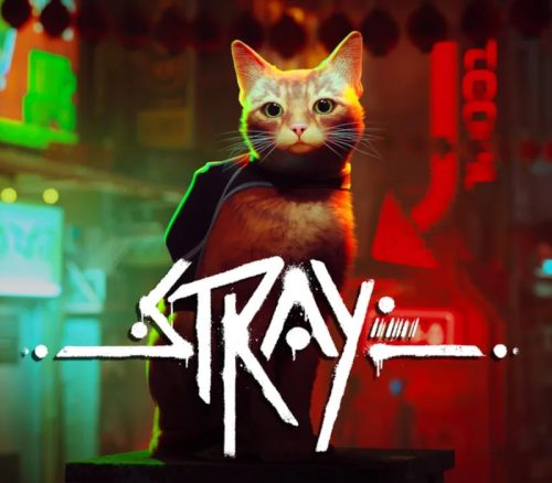 _Stray800