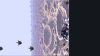 wall-world-deep-threat_original_0