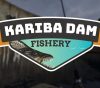 _karinadamp2