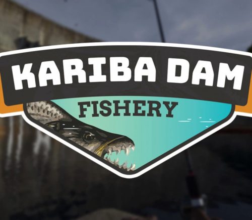 _karinadamp2