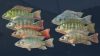 ultimate-fishing-simulator-kariba-dam-dlc_original_2