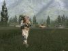 arma-gold-edition_original_3