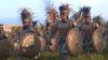 Total War PHARAOH