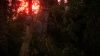 tribe-primitive-builder_original_1