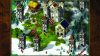 cultures-northland_original_4
