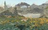 shelter-2-mountains_original_1