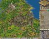 anno-1503_original_2