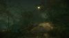 the-cursed-forest_original_2