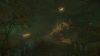 the-cursed-forest_original_3