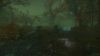 the-cursed-forest_original_5