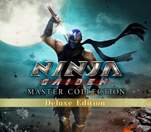 _NINJAGAIDENmasterdel800