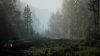 pacific-drive_original_3