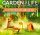 _GardenLifeEcoFriendlyDecorationSet111
