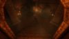 forewarned_original_2