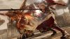 lightning-returns-final-fantasy-xiii_original_1