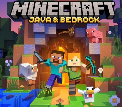 _MinecraftJavaBedrock800