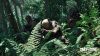 gray-zone-warfare_original_1