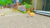 My Universe Puppies and Kittens Nintendo