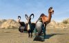 goat-simulator-payday_original_1