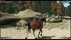 two-worlds-epic-edition_original_2
