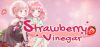 strawberry-vinegar_cover_original