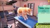 Animal Shelter 2 PC Steam játék