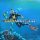 Subnautica XBOX játék