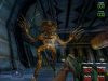 aliens-versus-predator-classic-2000_original_1