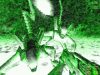 aliens-versus-predator-classic-2000_original_4