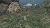 paws-a-shelter-2-game_original_0