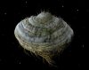 samorost-2_original_1