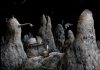 samorost-2_original_2