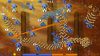 mushroom-wars_original_5