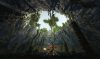 arcania-gothic-4_original_3
