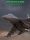 command-modern-operations-kashmir-fire_cover_original