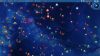stars-in-shadow_original_1