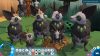 niche-a-genetics-survival-game_original_2
