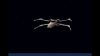 star-wars-x-wing-special-edition_original_3