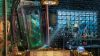 small-town-terrors-galdors-bluff-collectors-edition_original_4