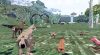 meadow_original_3