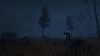 through-the-woods_original_2
