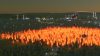 cities-skylines-natural-disasters_original_1
